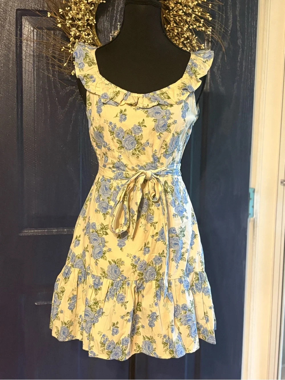 Petal + pup Storia Cream Mini Dress with Blue Floral Print NWT size Small